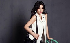 B站里看中日双字幕的